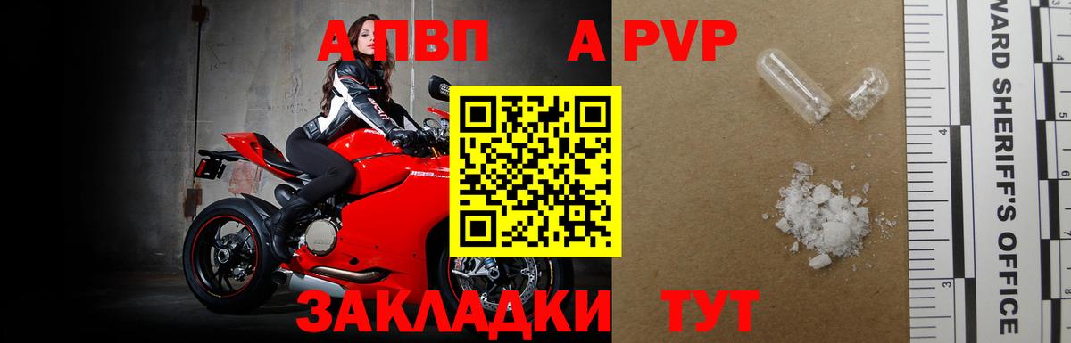 Альфа ПВП СК КРИС Оренбург