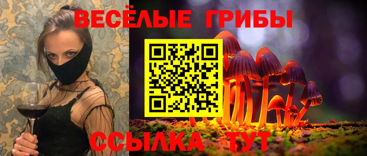 Псилоцибиновые грибы Psilocybine cubensis  Вход с VPN  Оренбург  Галлюциногенные грибы мухоморы 