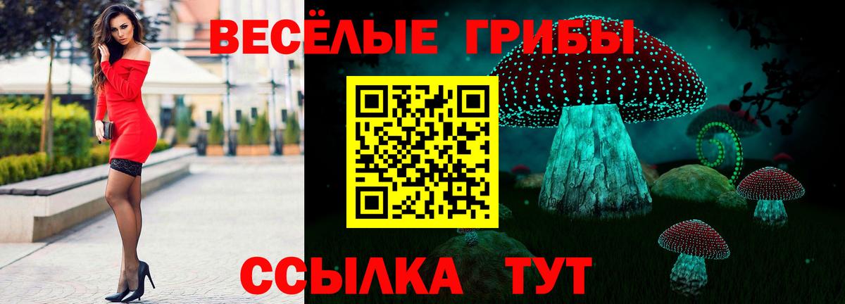 Галлюциногенные грибы MAGIC MUSHROOMS Оренбург